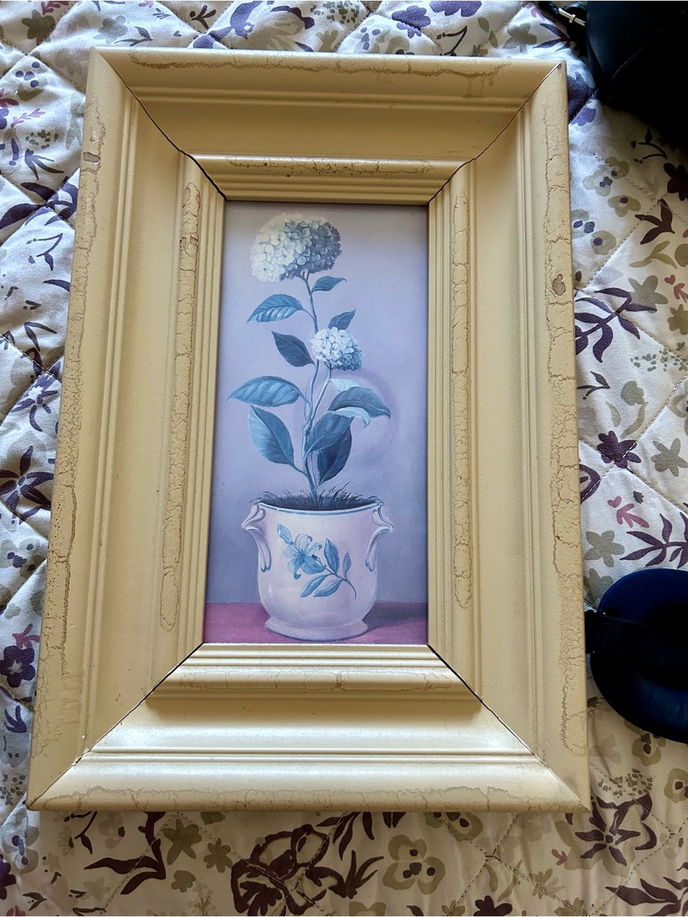 Vintage Framed Botanical Print in Cream Distressed/Crackle Finish Frame